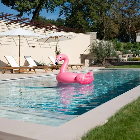 Petit Coin De Paradis Albigeois Tatil Evi Castelnau-de-Lévis